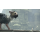 Sony The Last Guardian - 339120 - zdjęcie 5